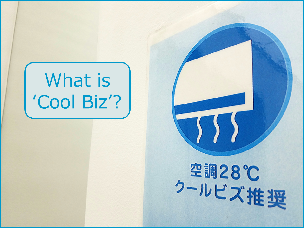So what exactly IS Cool Biz?