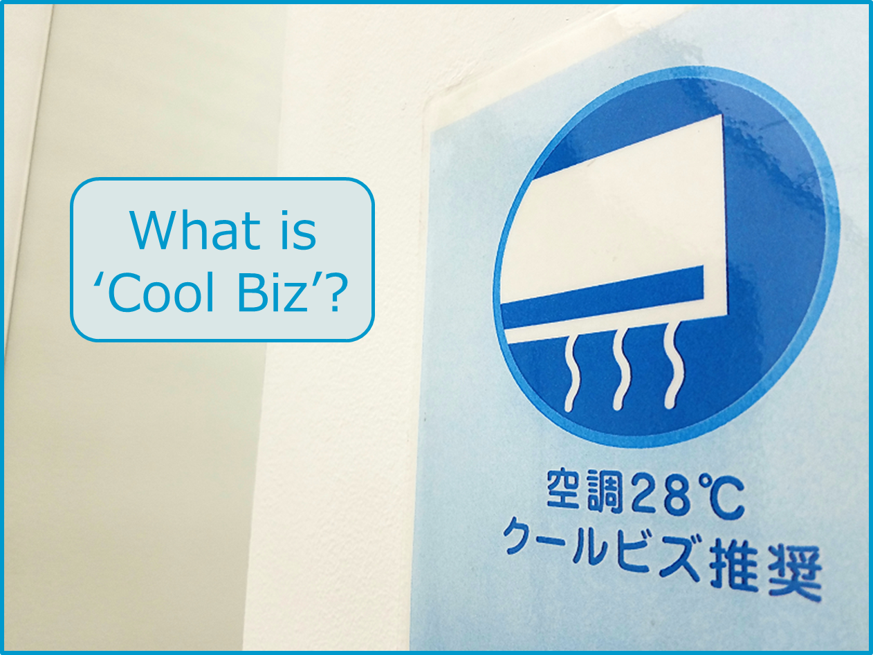 So what exactly IS Cool Biz? So what exactly IS Cool Biz?
