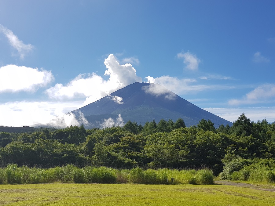 View of Mt. Fuji