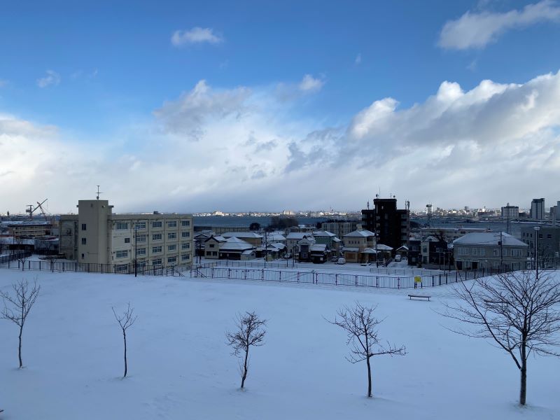 20220114-e-jan_hakodate_snow_2.jpg